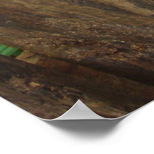 Happy Pig Poster (Hoek)