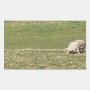 Happy Pig Rechthoekige Sticker