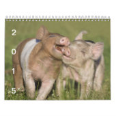 Happy Piglets 2015 - Kute Baby Pigs Calendar Kalender (Hoes)