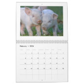 Happy Piglets - 2016-pingkalender Kalender (Feb 2026)