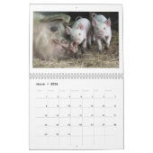 Happy Piglets - 2016-pingkalender Kalender (Mar 2026)