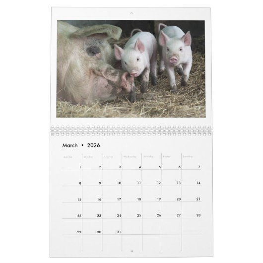 Happy Piglets - 2016-pingkalender Kalender (Mar 2026)