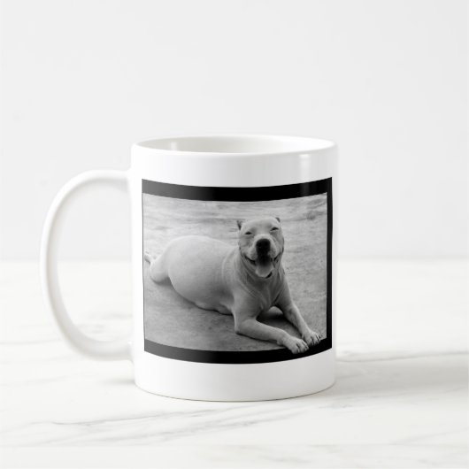 Happy pitbull mok (Links)