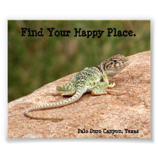 Happy Place Lizard Print Foto Afdruk (Voorkant)
