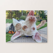 Happy Pointer Puzzle Legpuzzel (Horizontaal)