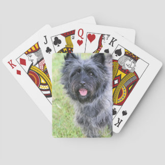 Happy Pokerkaarten