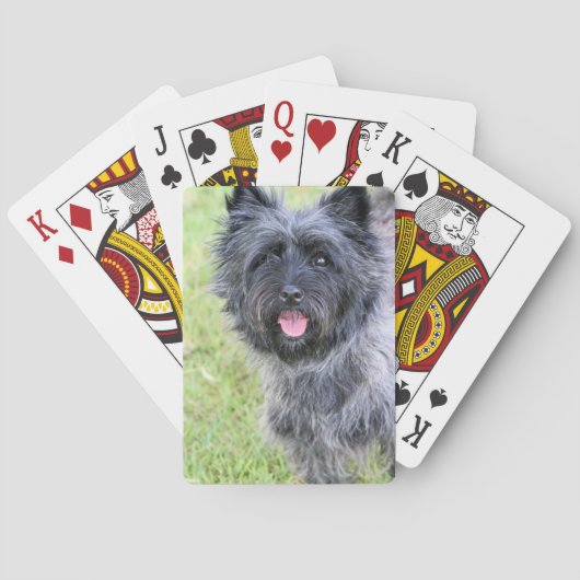 Happy Pokerkaarten (Achterkant)