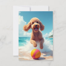 Happy Poodle bij de Beach Note Kaart