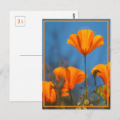Happy Poppy Briefkaart (Voorkant / Achterkant)