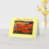 Happy Poppy Verjaardag Kaart (Gele Bloem)