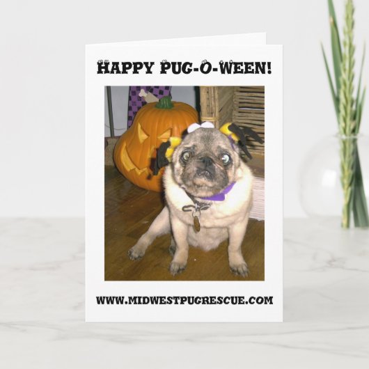 Happy Pug-O-Ween!, www.mid.. Kaart (Voorkant)