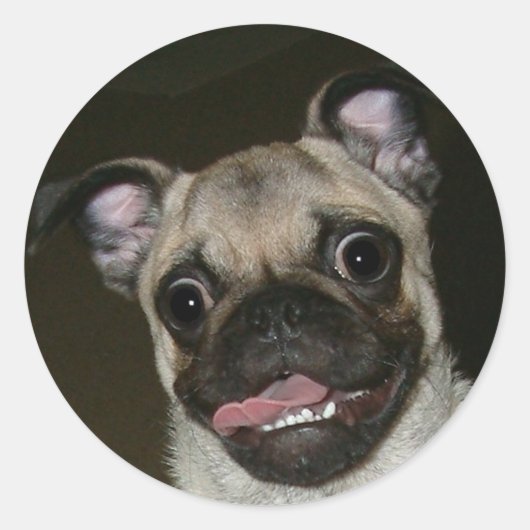 Happy Pug Ronde Sticker (Voorkant)
