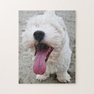 Happy Puppy white dog, malteese, maltipoo. Legpuzzel