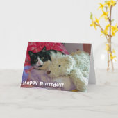 Happy Purrrday Cat Kaart (Gele Bloem)
