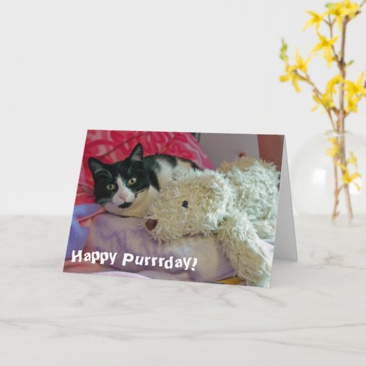 Happy Purrrday Cat Kaart (Gele Bloem)