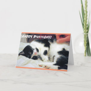 Happy Purrrday Cat Kaart