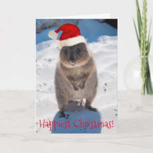Happy Quokka Kerstmis en nieuwjaar Kaart