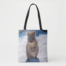 Happy Quokka op het strand Australië