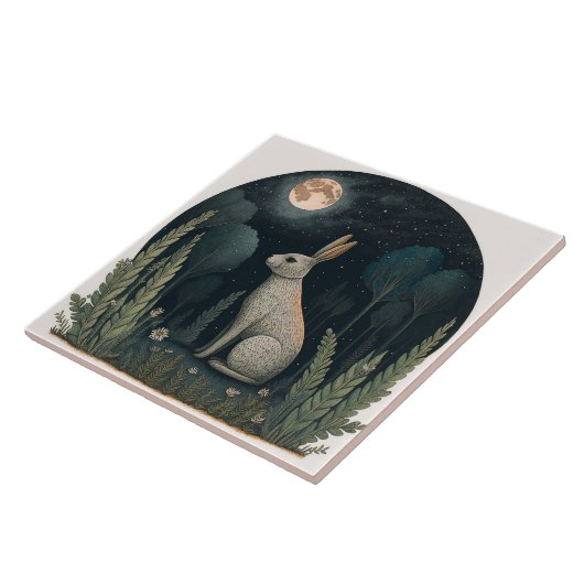 Happy Rabbit in in de maan Tegeltje (Zijkant)