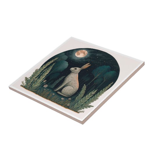 Happy Rabbit in in de maan Tegeltje (Zijkant)