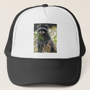 HAPPY RACCOON TRUCKER PET