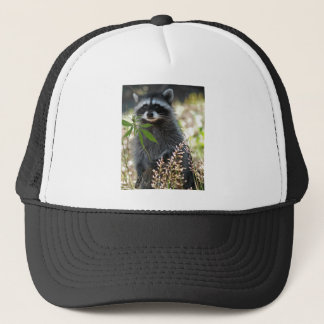 HAPPY RACCOON TRUCKER PET