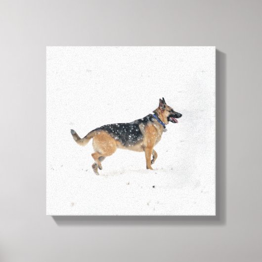 Happy redcued German Shepherd Dog in Snow Canvas (Voorkant)