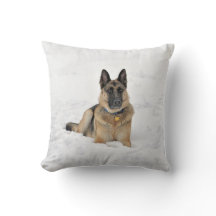 Happy Rescuated German Shepherd Dog Pspelen in sne