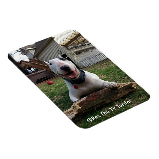 Happy Rex Magnet Magneet (Rechterzijde)