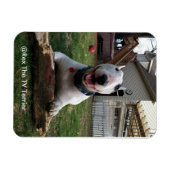 Happy Rex Magnet Magneet (Horizontaal)