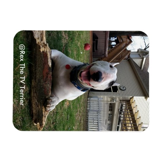 Happy Rex Magnet Magneet (Horizontaal)