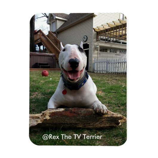 Happy Rex Magnet Magneet (Verticaal)