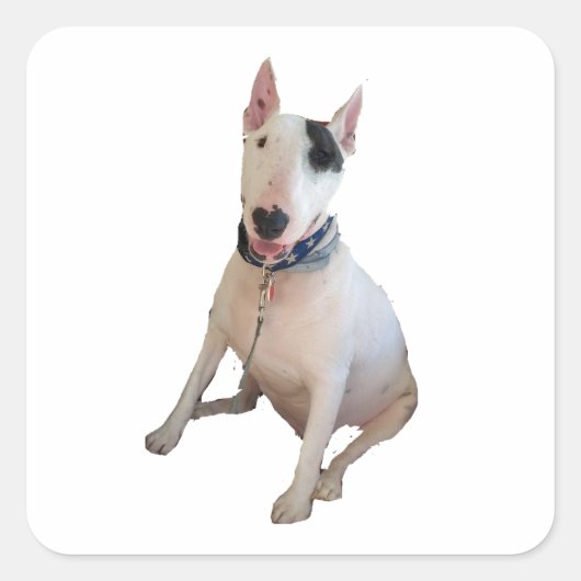 Happy Rex sticker (Voorkant)