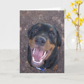 Happy Rottweiler Puppy Vaderdag Kaart (Gele Bloem)