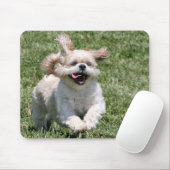 Happy run Shih Tzu Muismat (Met muis)