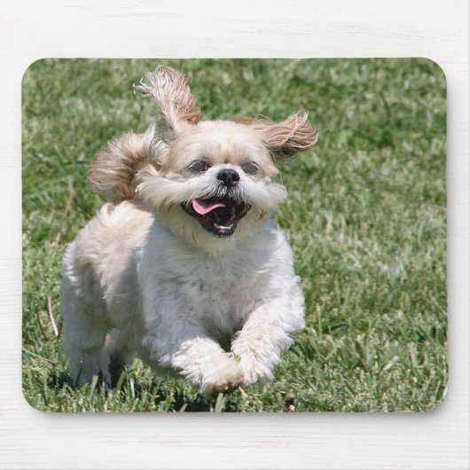 Happy run Shih Tzu Muismat (Voorkant)