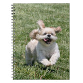 Happy run Shih Tzu Notitieboek (Voorkant)