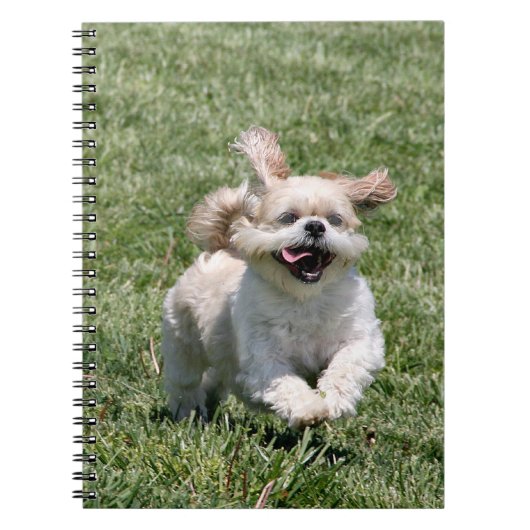Happy run Shih Tzu Notitieboek (Voorkant)