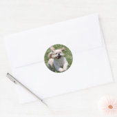 Happy run Shih Tzu Ronde Sticker (Envelop)