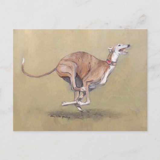 Happy Running Greyhound Dog Art Briefkaart (Voorkant)