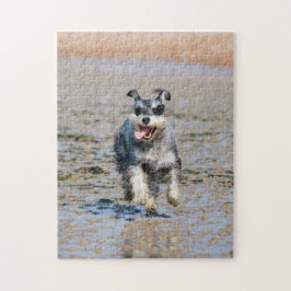 Happy Schnauzer aan boord van strandpuzzel Legpuzzel