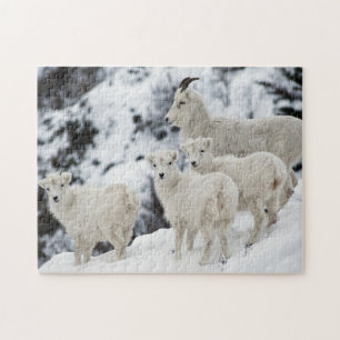 Happy Sheep-familie Legpuzzel