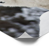 Happy Sheep-familie Poster (Hoek)