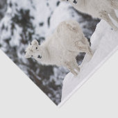 Happy Sheep-familie Tissuepapier (Detail)