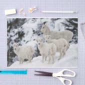 Happy Sheep-familie Tissuepapier (Craft)