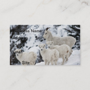 Happy Sheep-familie Visitekaartje