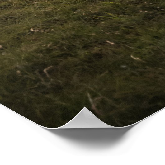 Happy Sheep Poster (Hoek)