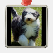HAPPY SHEEPDOG CHRISTMAS ORNAMENT (Voorkant)