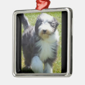 HAPPY SHEEPDOG CHRISTMAS ORNAMENT (Links)