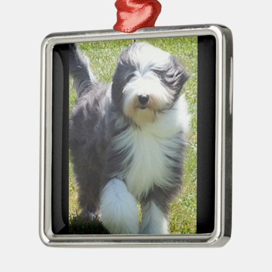 HAPPY SHEEPDOG CHRISTMAS ORNAMENT (Links)